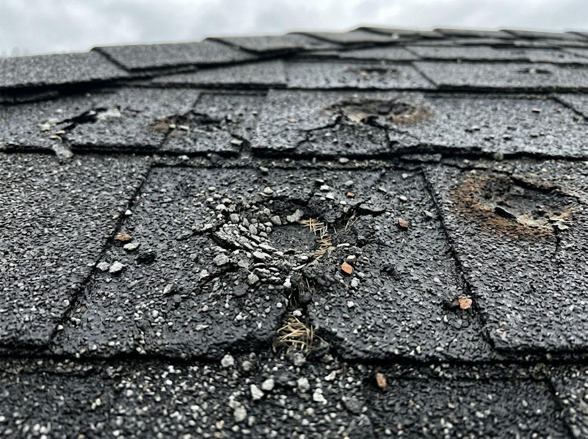 Hail damage on an asphalt shingle roof in southwest Missouri